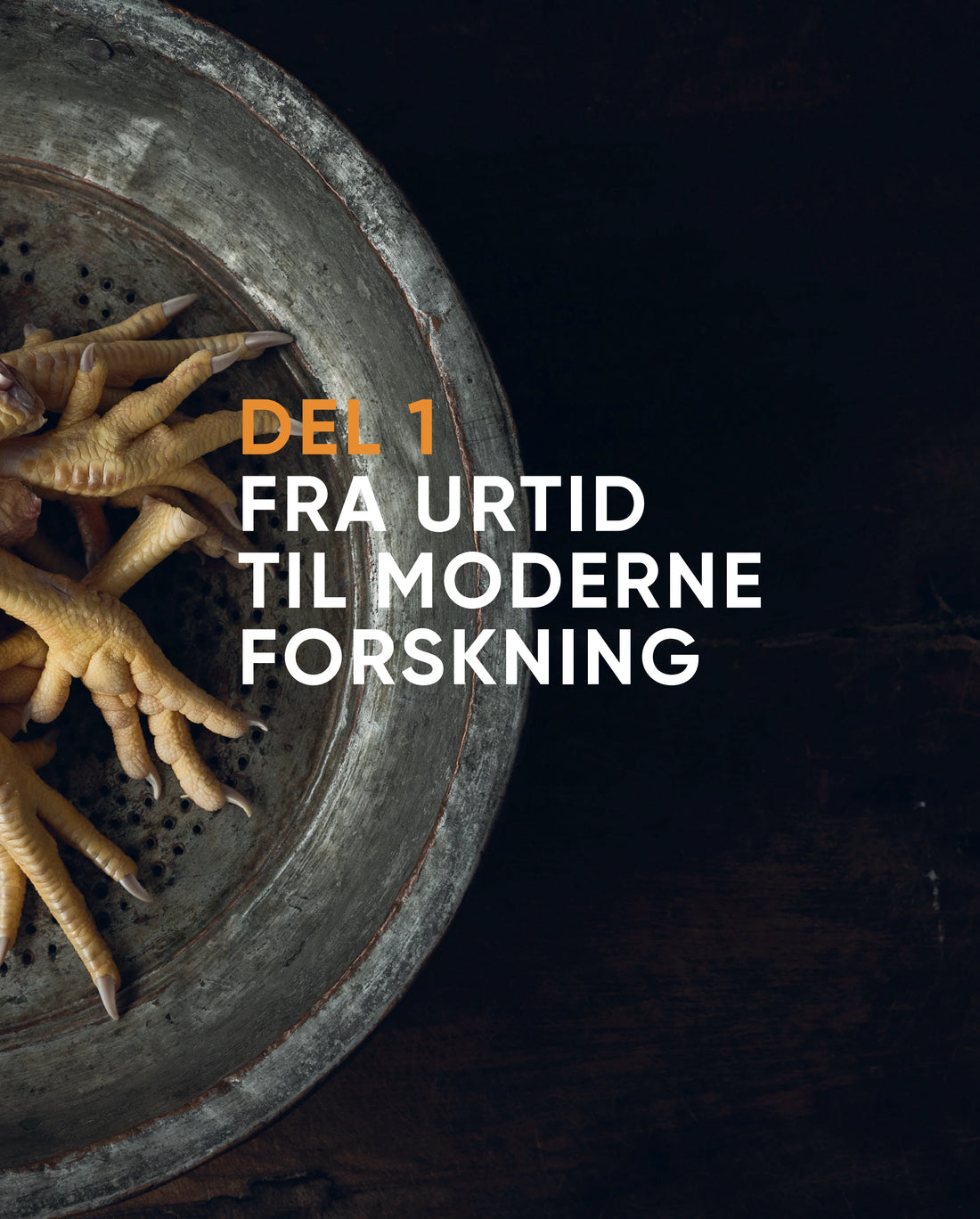 Del 1: Fra urtid til moderne forskning